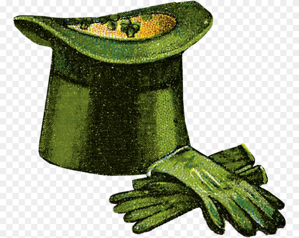 St Patrickquots Day Hat Saint Patrick39s Day, Clothing, Glove, Animal, Bird Free Transparent Png