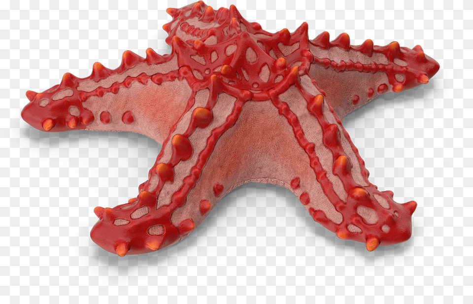 Transparent Starfish Cartoon Starfish, Animal, Sea Life, Invertebrate Free Png Download