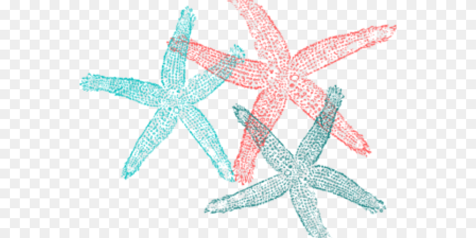 Starfish Clipart Fish Clip Art, Animal, Invertebrate, Sea Life, Person Free Transparent Png