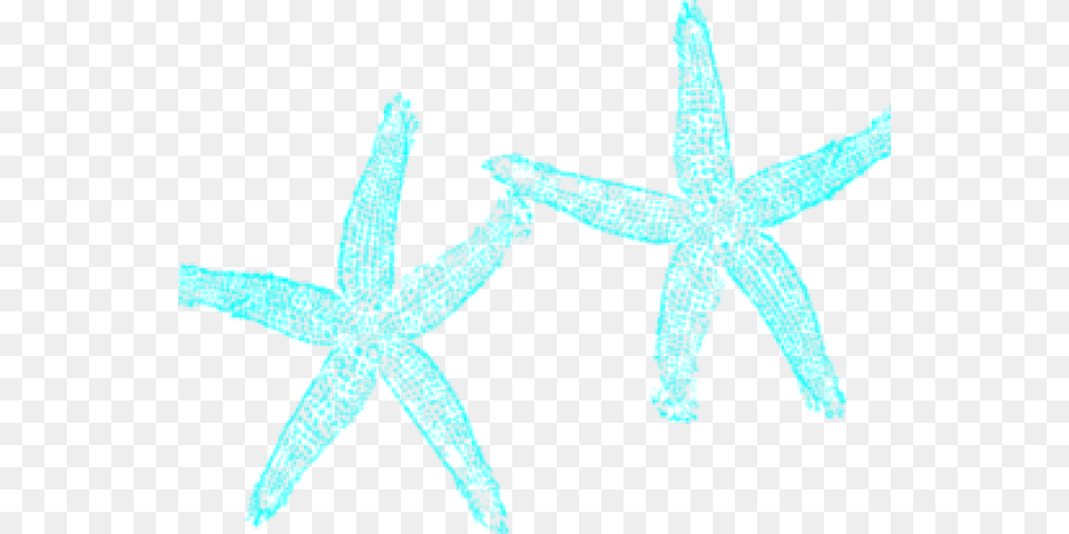 Transparent Starfish Clipart Fish Clip Art, Animal, Invertebrate, Sea Life, Person Free Png