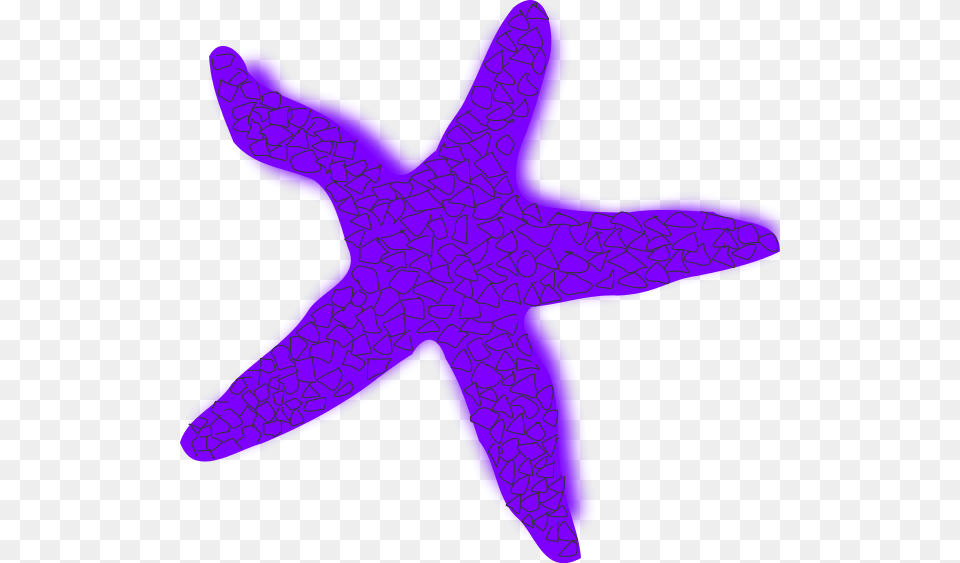Starfish Clipart Image Clip Art Pictures, Animal, Invertebrate, Sea Life, Dinosaur Free Transparent Png