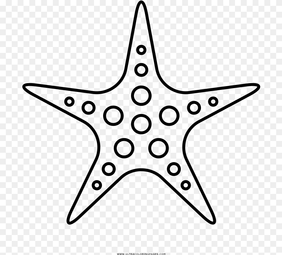 Starfish Clipart Sea Star Fish Outline, Gray Free Transparent Png
