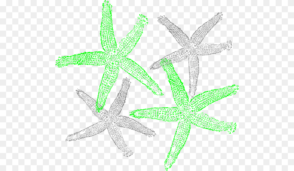 Transparent Starfish Vector Fish Clip Art, Animal, Invertebrate, Sea Life Png