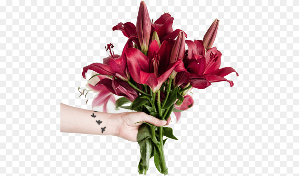 Transparent Stargazer Lily Happy Tuesday Images With Flowers, Flower, Flower Arrangement, Flower Bouquet, Plant Free Png