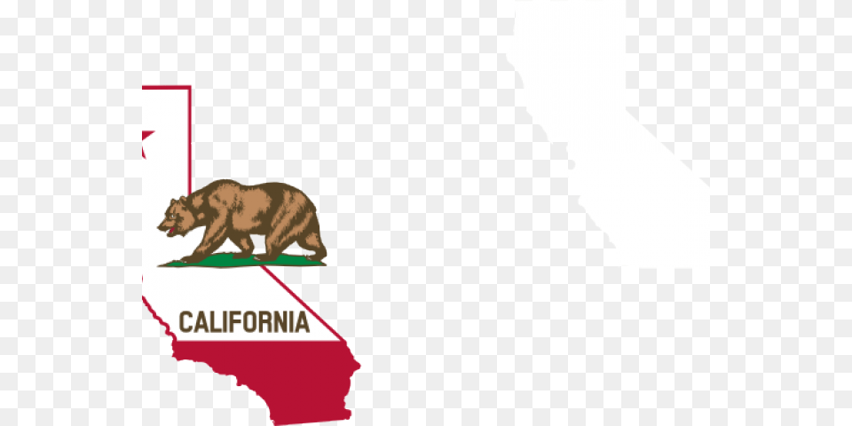 State Of California, Animal, Bear, Mammal, Wildlife Free Transparent Png