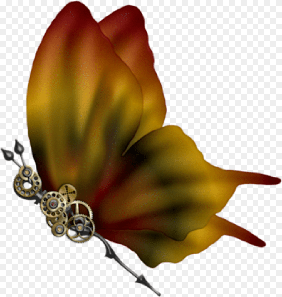 Transparent Steampunk Butterfly Butterfly, Accessories, Jewelry, Earring Png
