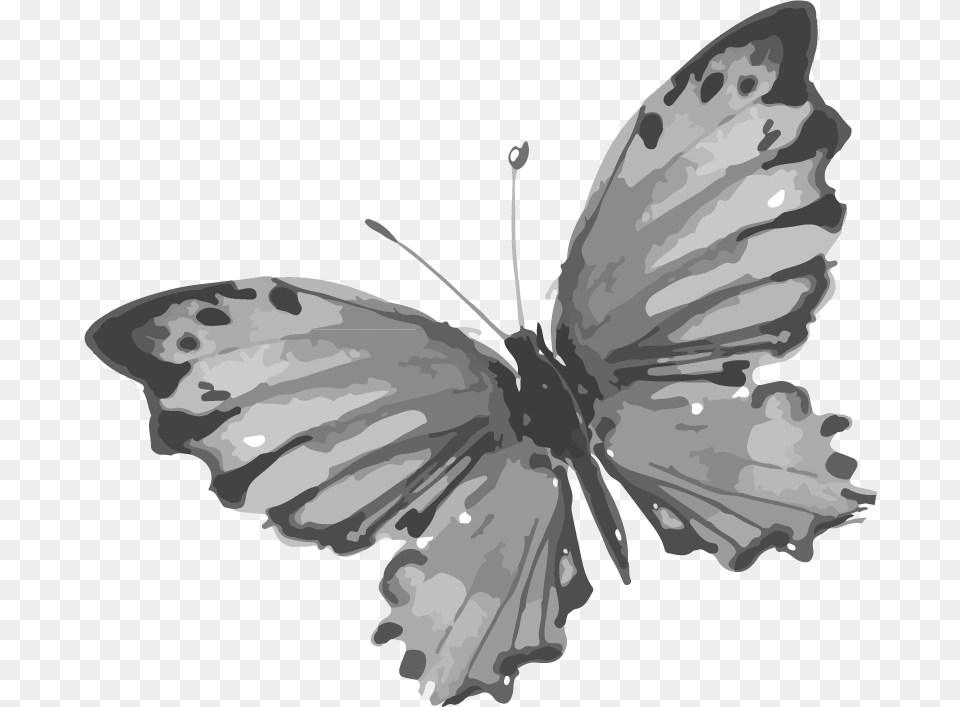 Transparent Steampunk Butterfly Dibujos De Tinta China De Animales, Art, Drawing, Stencil Png Image