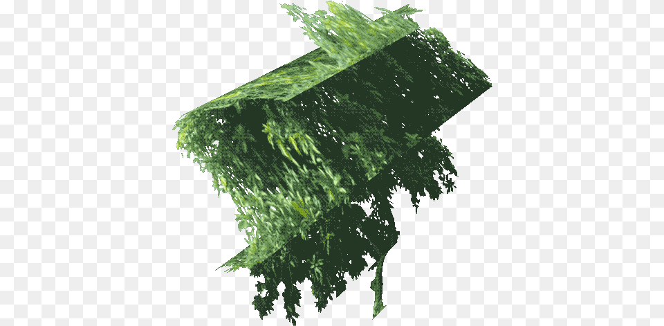 Transparent Sticker Gif Animated Green Revolution Gif, Leaf, Plant, Moss, Vegetation Png Image