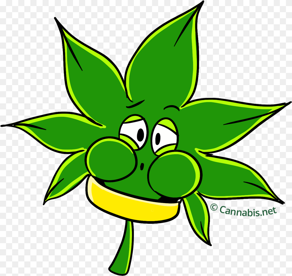 Transparent Stoner Clipart Clip Art, Green, Leaf, Plant, Food Png