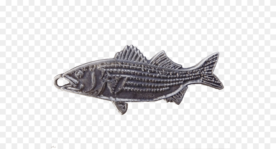 Striper Striper Bass, Animal, Fish, Sea Life, Food Free Transparent Png