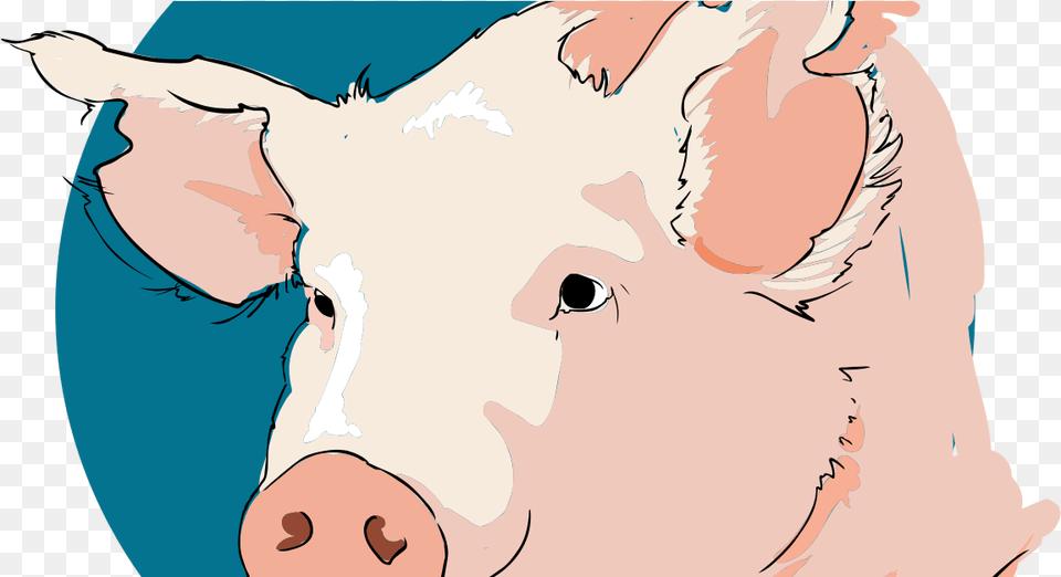 Transparent Stuart Little Clipart Tete De Porc Dessin, Animal, Hog, Mammal, Pig Png