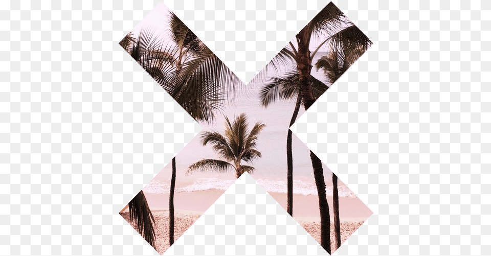 Transparent Stuff U2014 The Xx Symbol Palmtrees With Pohon Kelapa, Art, Collage, Plant, Tree Png Image