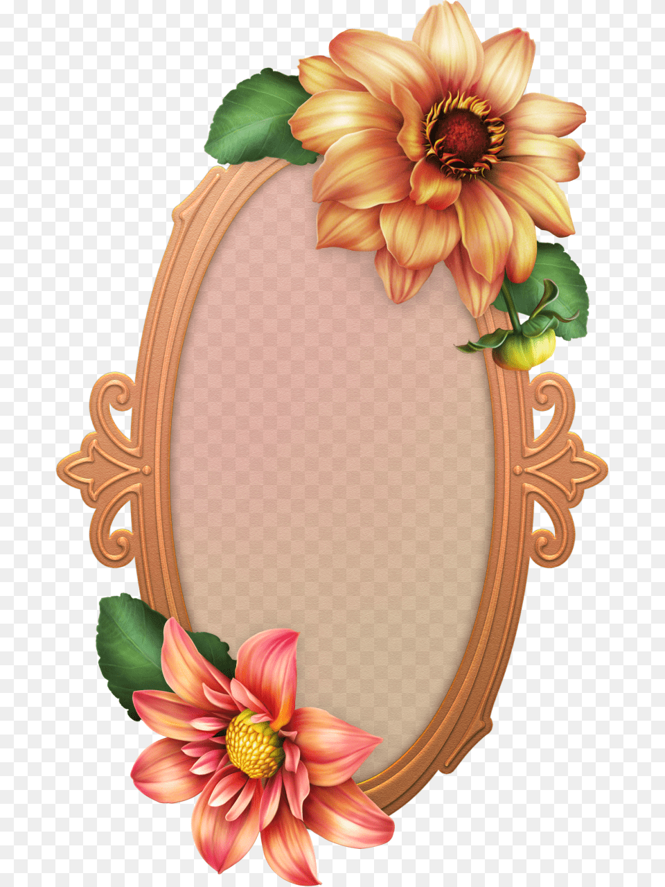 Transparent Stupid Clipart Clip Art, Dahlia, Flower, Plant, Petal Png