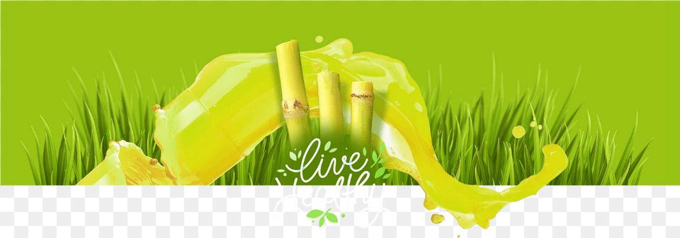 Transparent Sugarcane Sugar Cane Juice, Green, Grass, Plant, Advertisement Free Png