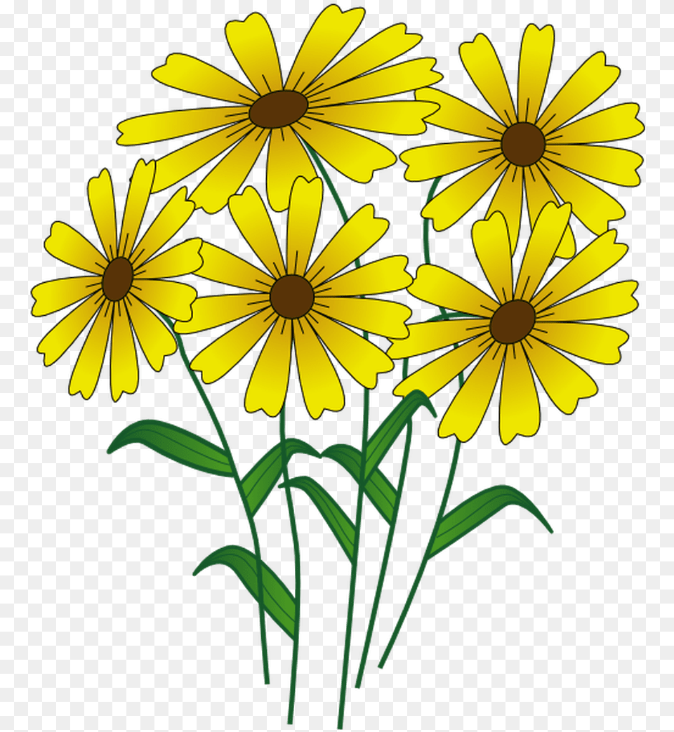Transparent Summer Clipart Nice Flowers Cartoon, Daisy, Flower, Plant, Petal Free Png