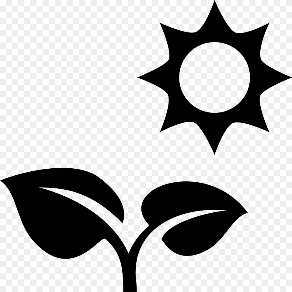 Transparent Sun Vector Sun Plant Icon, Gray Png
