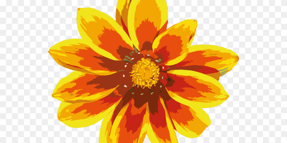 Transparent Sunbeam Clipart Red And Yellow Flower, Anther, Dahlia, Petal, Plant Free Png