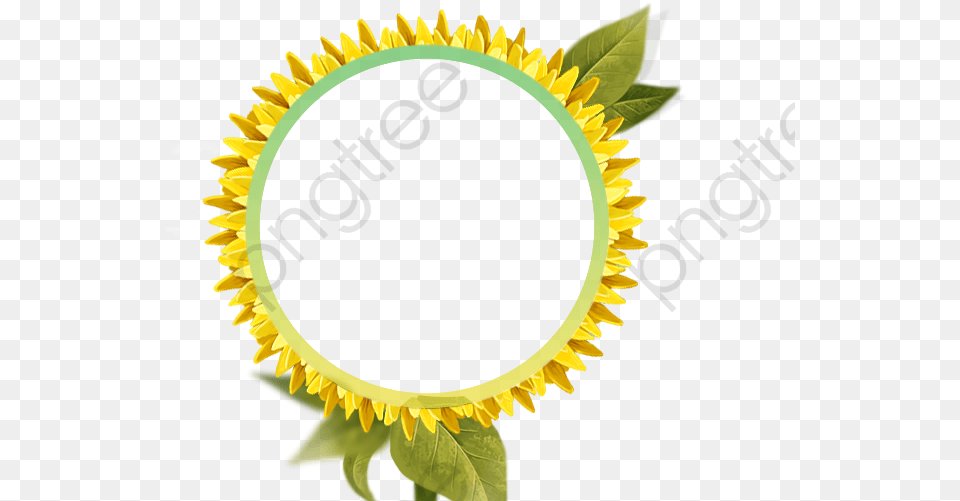Transparent Sunflower Clipart Border Bunga Matahari, Flower, Plant Png Image