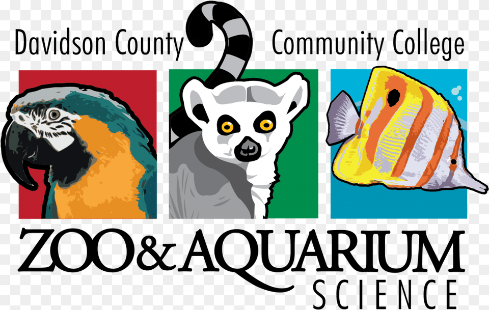 Transparent Suzy Zoo Clipart Davidson County Community College Zoology, Animal, Fish, Sea Life, Bear Png