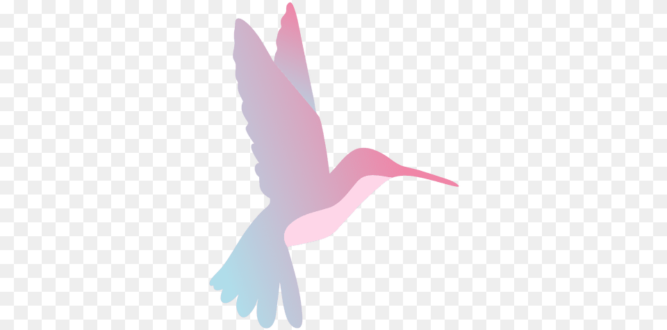 Transparent Svg Vector File Beija Flor, Animal, Bird, Flying, Hummingbird Png