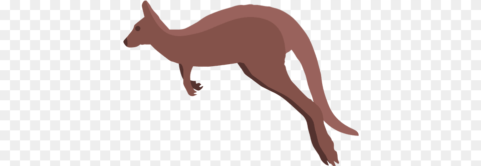 Transparent Svg Vector File Canguru, Animal, Mammal, Kangaroo Free Png