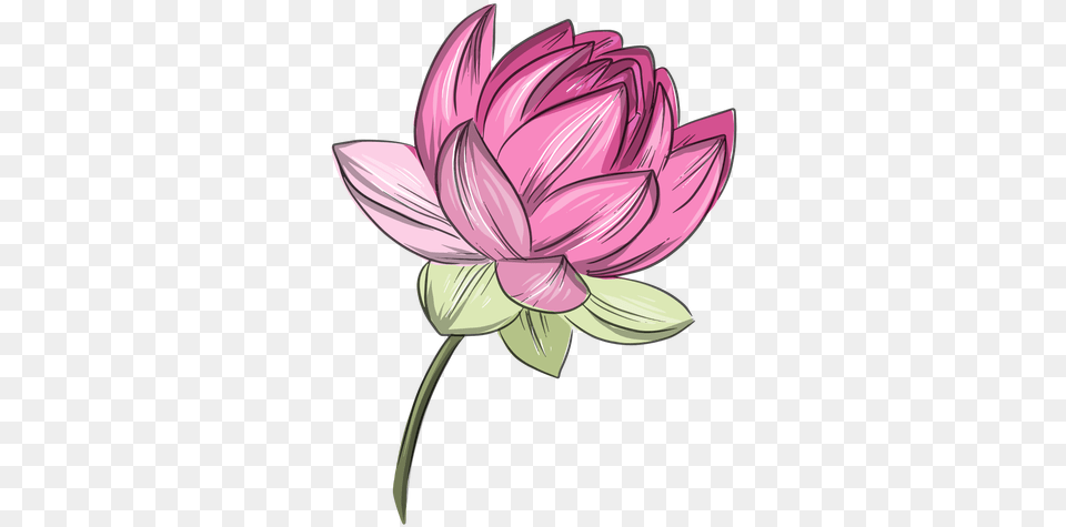 Svg Vector File Flor De Lotus Rosa, Dahlia, Flower, Plant Free Transparent Png