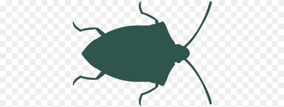 Transparent Svg Vector File Ground Beetle, Animal, Bow, Weapon, Cockroach Free Png