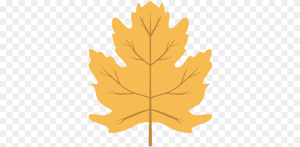 Svg Vector File Maple Leaf, Maple Leaf, Plant, Tree, Person Free Transparent Png