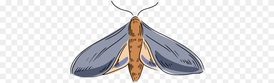 Transparent Svg Vector File Parasitism, Animal, Butterfly, Insect, Invertebrate Png