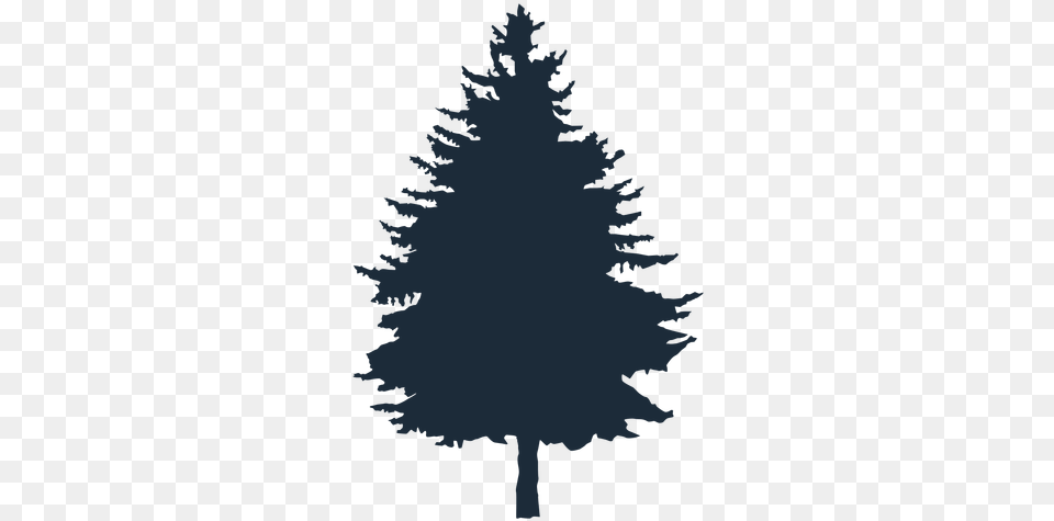 Transparent Svg Vector File Pinheiro, Fir, Plant, Tree, Pine Png