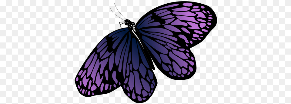 Transparent Svg Vector File Purple Butterfly Vector, Animal, Insect, Invertebrate Png