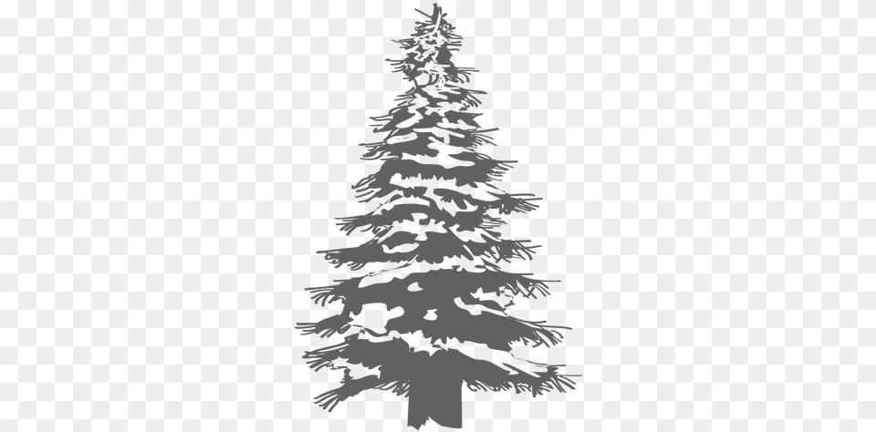 Transparent Svg Vector File White Pine Tree, Fir, Plant, Person, Animal Free Png