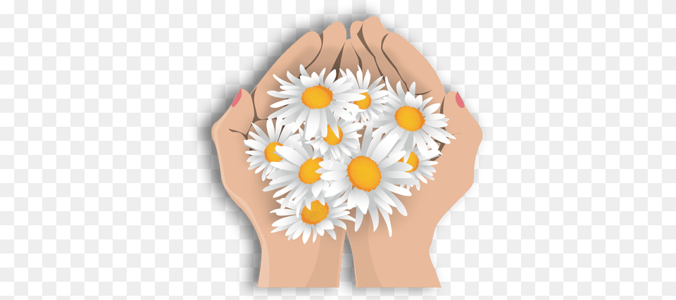 Transparent Svg Vector Flower In Hand, Daisy, Plant, Body Part, Person Free Png