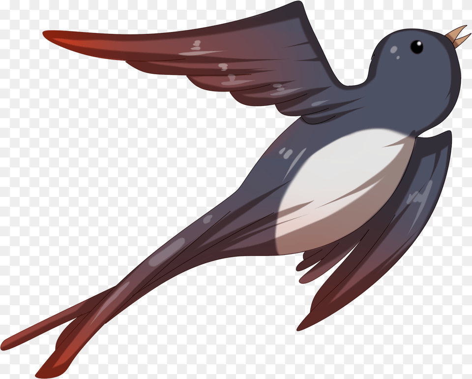 Transparent Swallowing Clipart European Swallow, Animal, Bird, Magpie, Blade Png Image