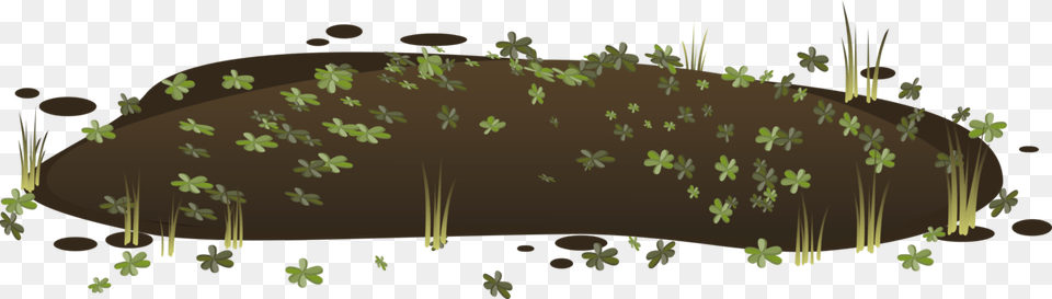 Transparent Swamp Clipart, Woodland, Land, Nature, Outdoors Png