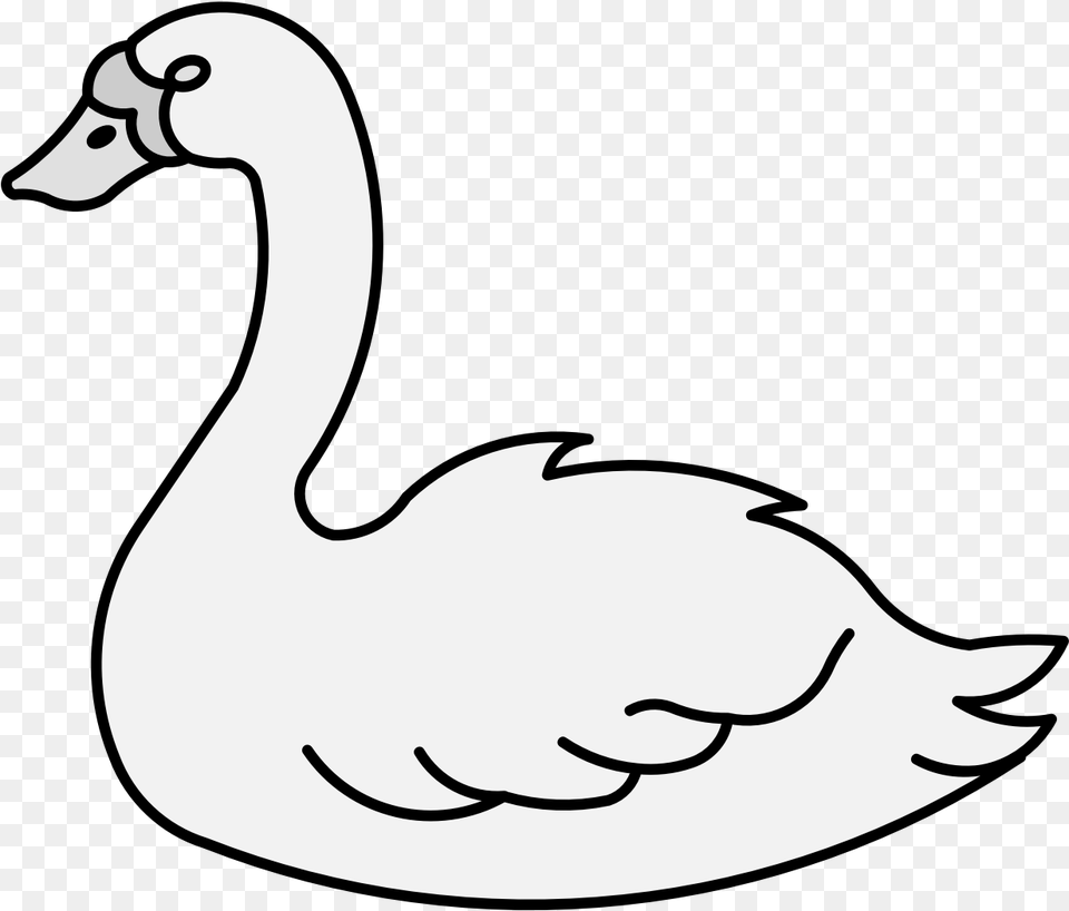 Transparent Swan Duck, Animal, Bird, Goose, Waterfowl Free Png Download