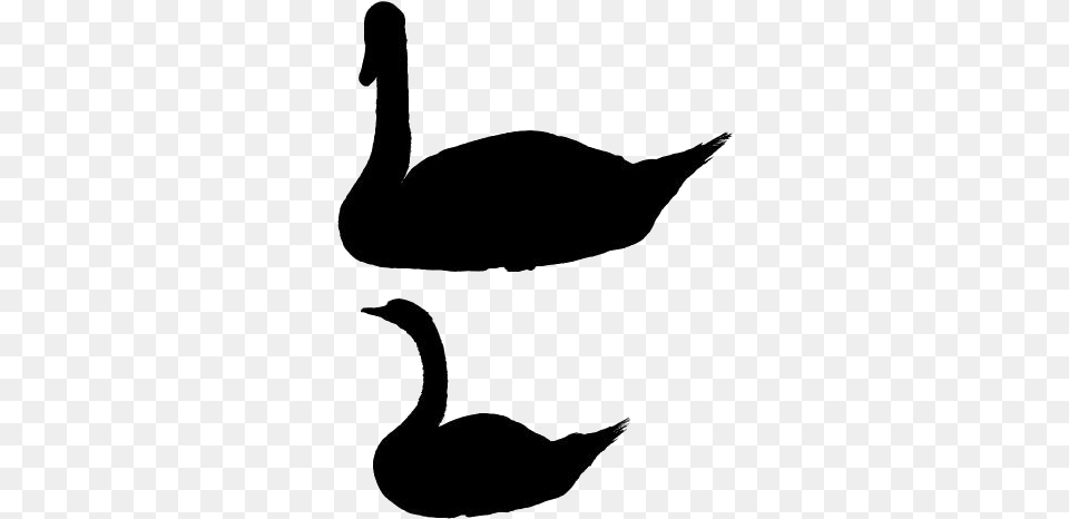 Swan Silhouette Duck, Animal, Smoke Pipe, Bird, Goose Free Transparent Png