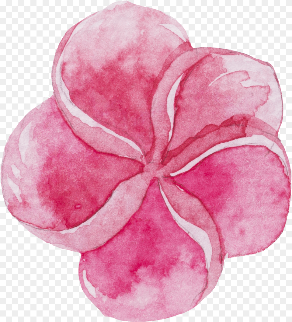 Transparent Sweet Pea Watercolor Stickers Download, Flower, Geranium, Petal, Plant Png Image