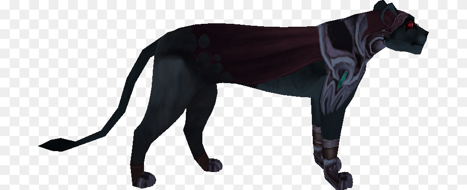 Transparent Sylvanas Mane, Accessories, Person, Animal, Mammal Png Image