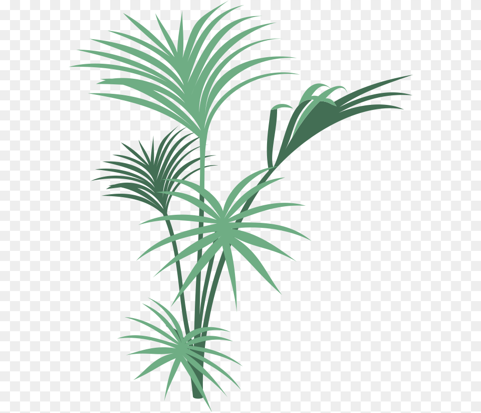 Transparent Tarzan Cover, Leaf, Palm Tree, Plant, Tree Free Png