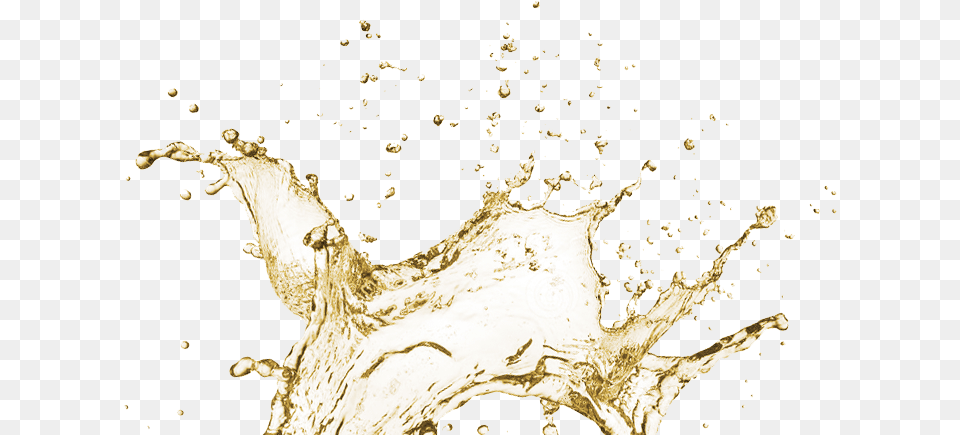 Transparent Tea Splash, Beverage, Milk Png