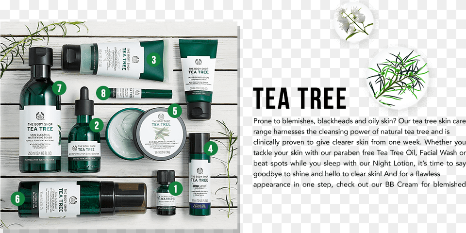 Transparent Tea Tree Body Shop Tea Tree Oil Line, Bottle Free Png