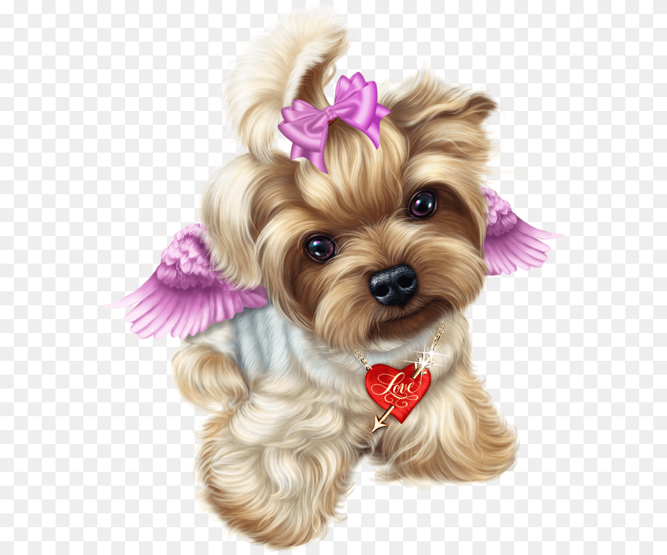 Transparent Teacup Drawing Yorkie Transparent, Animal, Canine, Dog, Mammal Free Png Download