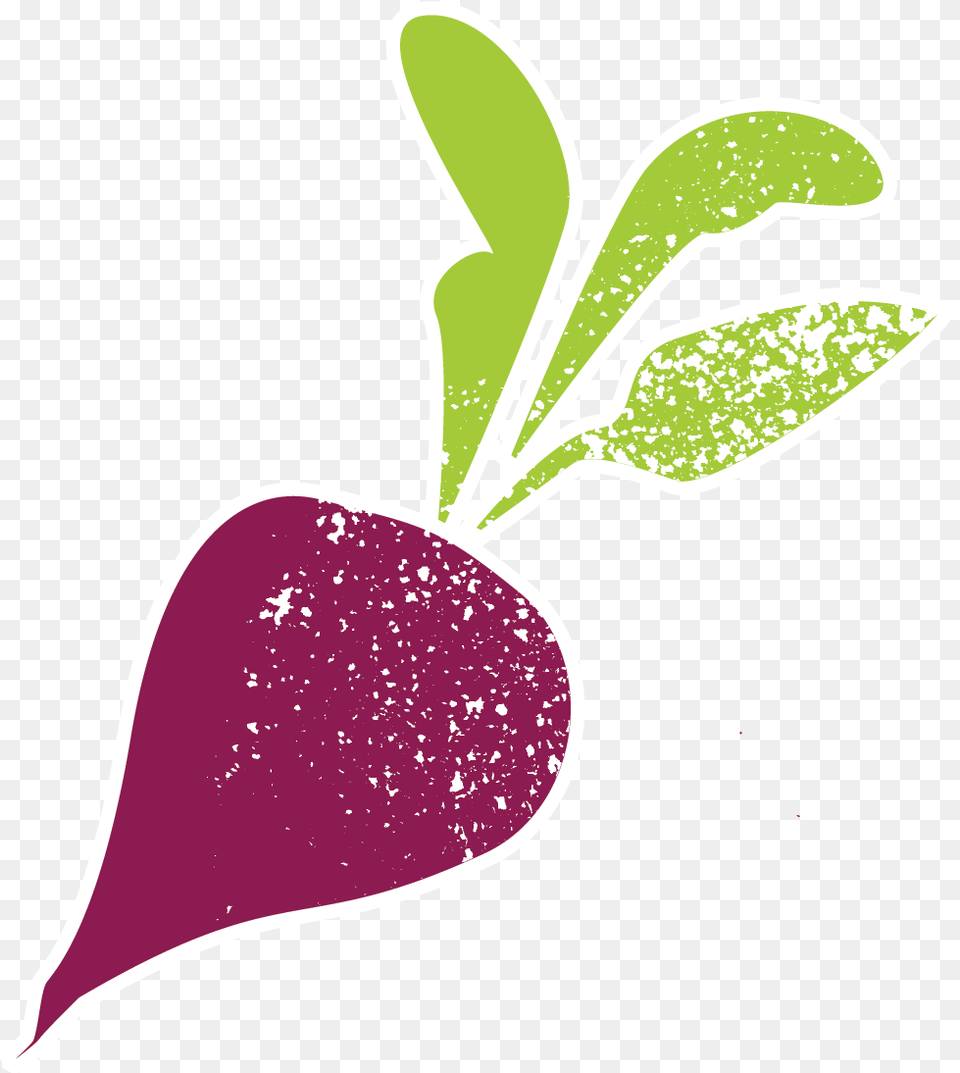 Transparent Texas Clipart Illustration, Vegetable, Radish, Produce, Plant Free Png