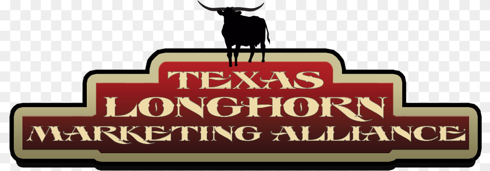 Transparent Texas Longhorns Bull, Animal, Mammal, Dynamite, Weapon Free Png Download