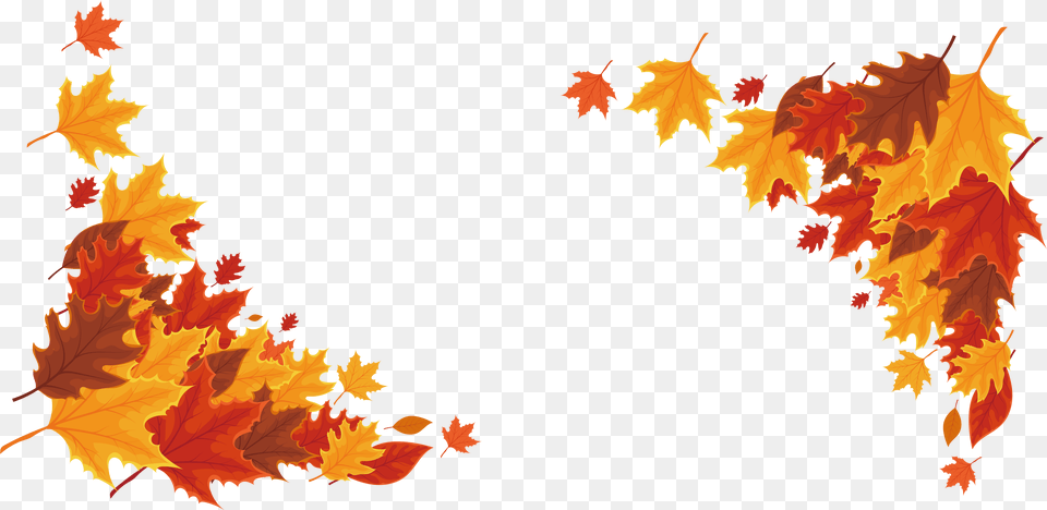 Transparent Thanksgiving Borders 2019 Clipart Maple Leaf Border, Plant, Tree, Maple Leaf Free Png Download