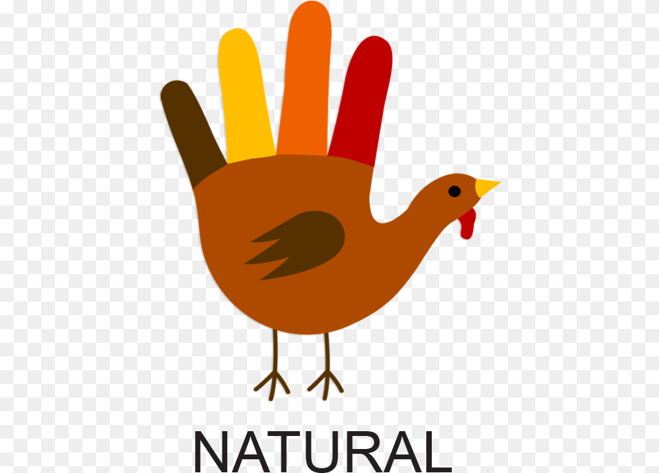 Transparent Thanksgiving Turkey Clipart Draw A Turkey Hand, Animal, Bird Png