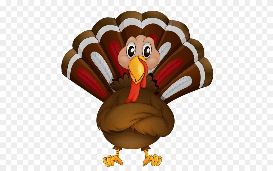 Transparent Thanksgiving Turkey Clipart Drawings Templates, Animal, Beak, Bird Png Image