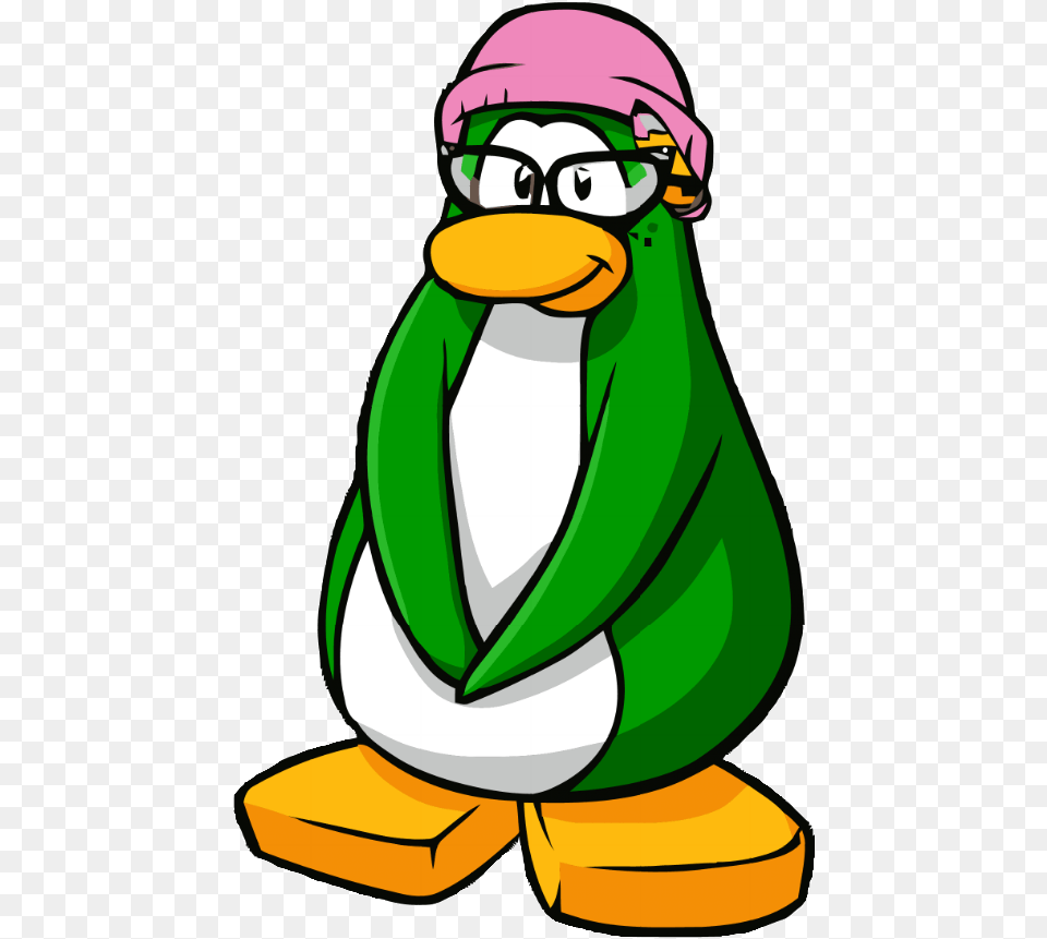 Transparent The Penguin Aunt Arctic Club Penguin, Person, Cartoon Png