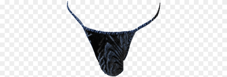 Transparent Thong Micro Thong, Panties, Clothing, Underwear, Lingerie Png